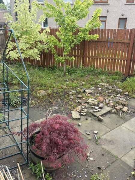 Landscape Gardeners Glasgow - project cover image