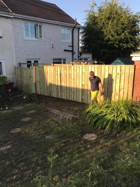 Hedge Removal and Fencing 